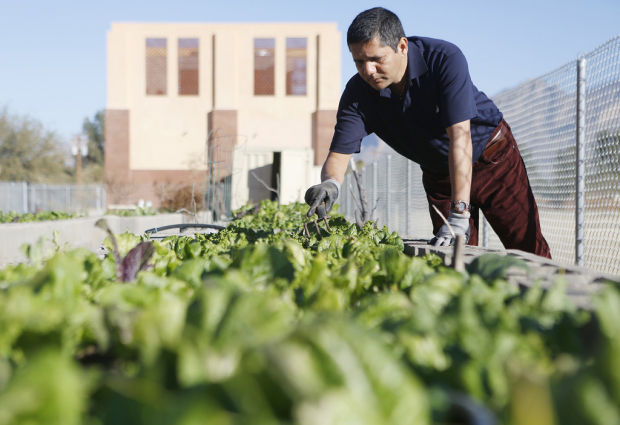 Language barrier is a daily struggle for refugees in Tucson